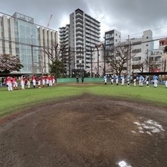 草野球平日水曜日リーグ