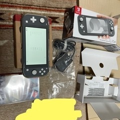 中古美品 Nintendo Switch Lite ニンテンドースイッチライト グレー + 