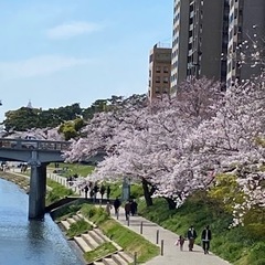 自然の力zoom体験会〜遠隔浄化体験を楽しもう〜