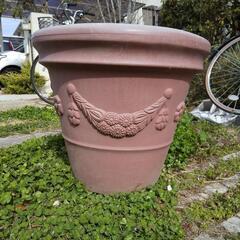 大きい植木鉢の中古が安い 激安で譲ります 無料であげます ジモティー