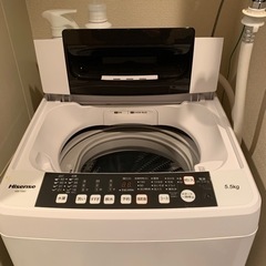 ハイセンス 全自動 洗濯機 5.5kg HW-T55C 本体幅50cm