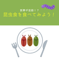 子ども向け【世界が注目！？昆虫食を調べよう！】