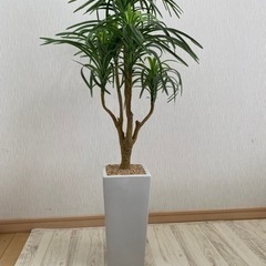 【ネット決済】人工観葉植物　ドラセナ（幸運の木）