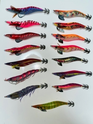 エギ15本セット