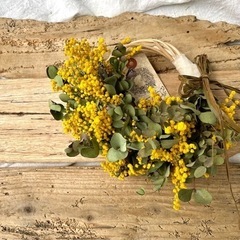 ミモザユーカリリースpjwd