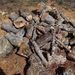 キャンプ 薪ストーブ 燃料 りんご 幹 枝 約30cm～40cm トンパック満