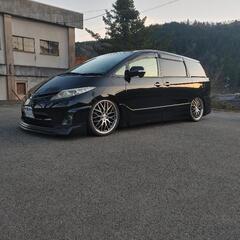 ロクサーニホイル