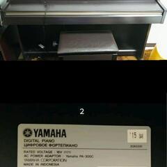 YAMAHA　ARIUS　YDP-162