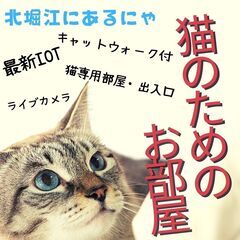 おしゃれな堀江で猫と暮らす(=^・^=)最新IOT機器付き？！