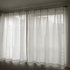 Curtains - カーテン ２6日まで 