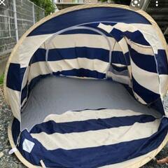 Coleman × BEAUTY&YOUTH UNITED ARROWS コールマン ユナイテッド