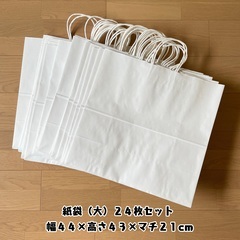 丸紐紙袋（大）　２４枚セット