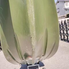 【受渡予定者決まりました】フィッシングカヤックを売ります