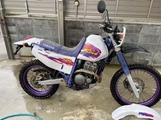 TTR250レイド
