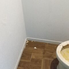 トイレと脱衣場の壁紙を張り替えて下さい。 - 手伝って/助けて