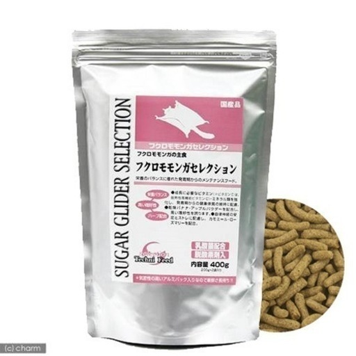 モモンガ セット まとめ売り ももんがもんもん共和国 ,セット商品（フクロモモンガ）,初心者