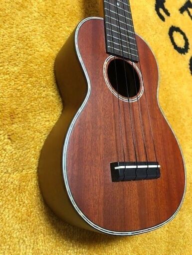 GODIN / ゴタン 純正ハードケース 美品です Amazon | [Godin] ギター用