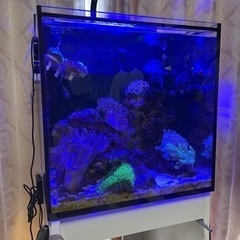 RedSea MAXNANO LEDライト付き 引取り限定 RedSea MAXNANO LEDライト付き 引取り限定