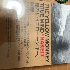 THE YELLOW MONKEY 限定盤