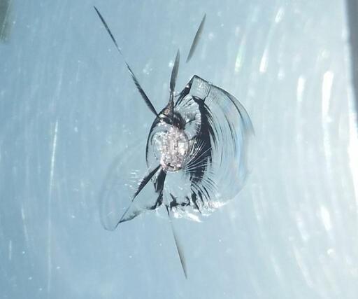 ガラスリペア出張フロントガラス飛び石キズ修理車修理車ガラス修理飛び石キズ修理 リペアプロエンドウ 名取の手伝いたい 助けたいの助け合い ジモティー ガラスリペア出張フロントガラス飛び石キズ修理車修理車ガラス修理飛び石キズ修理 リペアプロエンドウ 名取の手伝いたい 助けたいの助け合い ジモティー