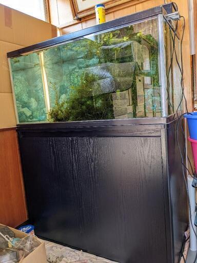 水槽セット
