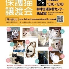 4/9保護猫譲渡会！