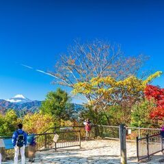 <20代限定>　🏔お手軽登山企画🏔【ワイワイ話しながら高尾山でリ...