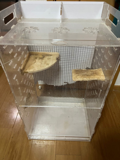 ジェックス アクリルルームIII 390High: 日用品・生活雑貨