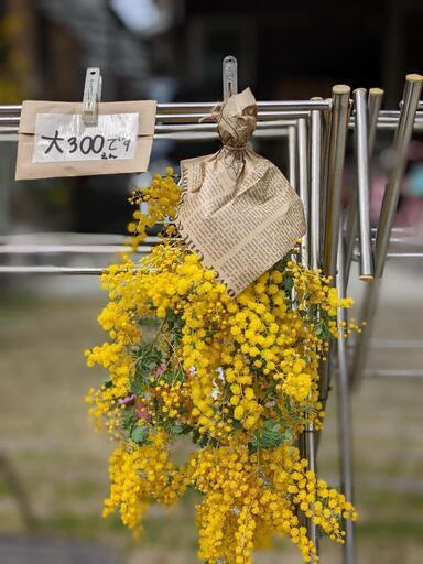 ミモザスペクタビルス花束300円 桜むぎ 茨木のその他の中古あげます 譲ります ジモティーで不用品の処分