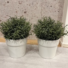 IKEA 観葉植物(造花)