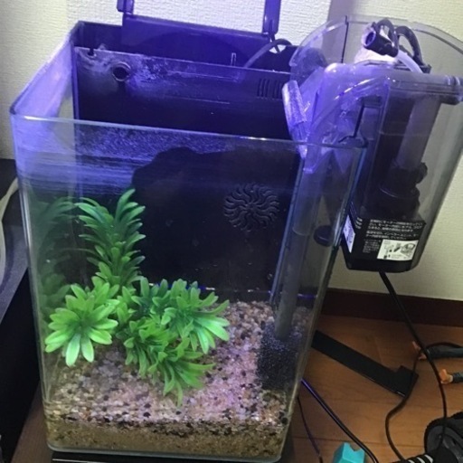 テトラ リビングキューブ12 水槽 Mako 長浦の家具の中古あげます 譲ります ジモティーで不用品の処分