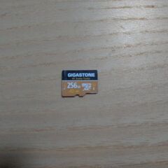 Gigastone Micro SDカード 256GB