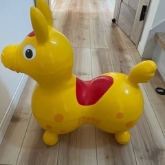 ロディ　RODY 黄色