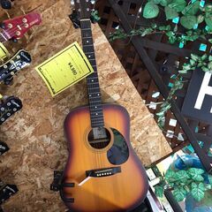 Hotaka by Morris アコースティックギター HM201