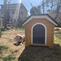 犬小屋