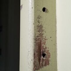 バスケットゴール　検定合格証