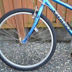 GIANT ジャイアント　ロードバイク　発送不可