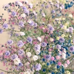 panasonic 電動アシスト自転車　