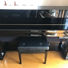 ヤマハ　DUP-20PE 