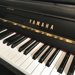 ヤマハ　DUP-20PE 