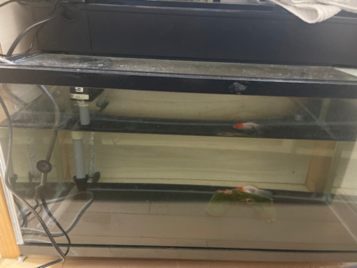 その他 60センチ水槽2個