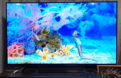 LG 55V型 有機EL テレビ OLED55B8SJB 4K HDR対応 テレビ LG 55V型 有機EL テレビ OLED55B8SJB 4K HDR対応 テレビ
