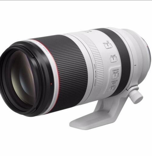 RF100-500mm F4.5-7.1 L IS USM 370,000円でも可能