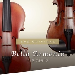 バイオリン Bella armonia 4/4 (yukidaruma) 新中野の家具の中古