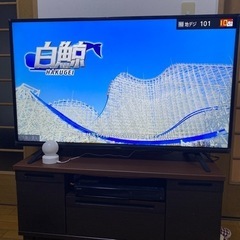 maxzen 50inchテレビ