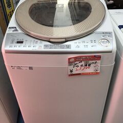 グット電機株式会社 電気ろくろ TP-250 (J1151sxwY)