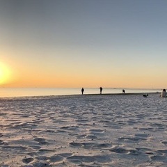 今日の朝！稲毛の浜に行って音楽聴きながらのんびりしませんか？