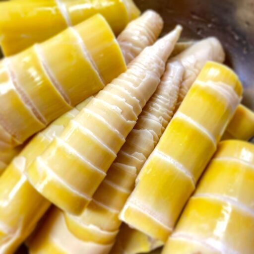 たけのこファン必見 最高の味 真竹を収穫体験 真竹の子編 6月12日 中旬ごろまでごろ開催 常総市 Issei 常総の生活知識の生徒募集 教室 スクールの広告掲示板 ジモティー たけのこファン必見 最高の味 真竹を収穫体験 真竹の子編 6月12日 中旬ごろまでごろ開催 常総市 Issei 常総の生活知識の生徒募集 教室 スクールの広告掲示板 ジモティー