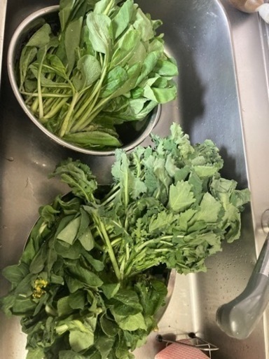 小松菜かき菜菜の花 だいごろう 伊勢崎の家具の中古あげます 譲ります ジモティーで不用品の処分