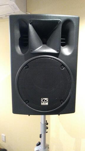 PA スピーカー クラシックプロCSP12 2本